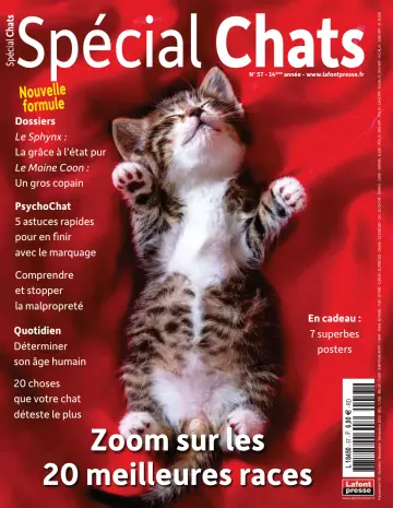 Spécial Chats - 14 Eyl 2022