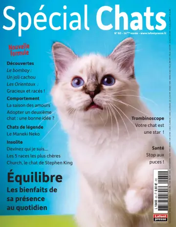 Spécial Chats - 14 6月 2023