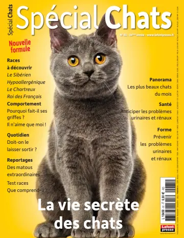 Spécial Chats - 13 Eyl 2023