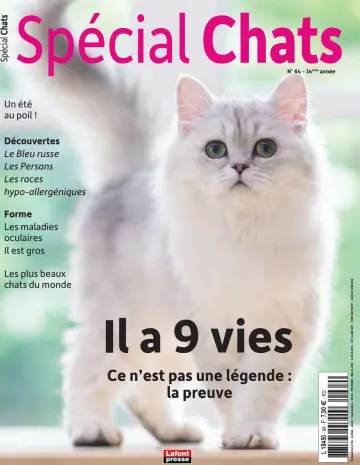 Spécial Chats - 12 6月 2024