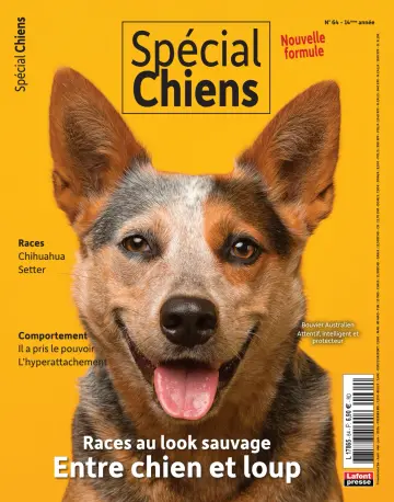 Spécial Chiens - 13 三月 2024