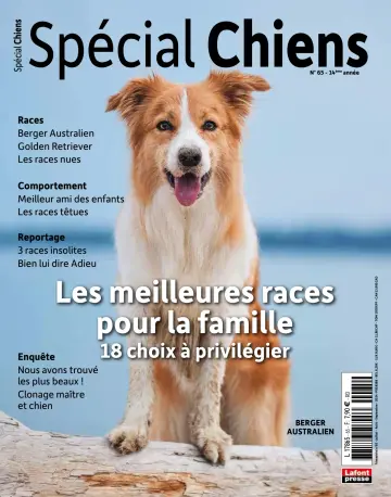 Spécial Chiens - 12 6月 2024