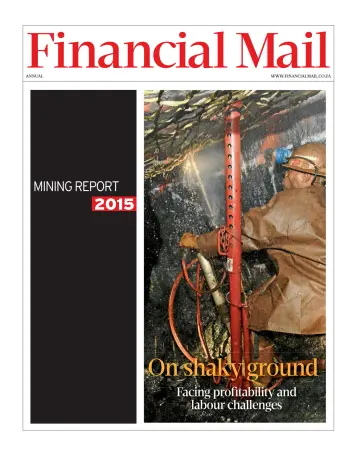 Special Report: Mining - 6 Feb 2015