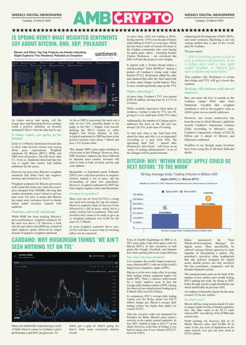 AMBCrypto Weekly