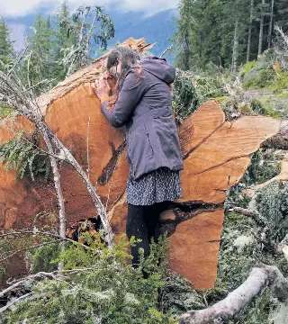 Forests are be­ing felled at break­neck speed, not just in Bri­tish Columbia, but around the world.