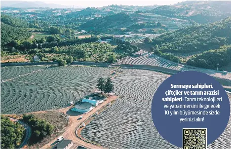 Yaban mersini: Sağlığın, tarımın ve yatırımın yeni odağı - Resim : 2