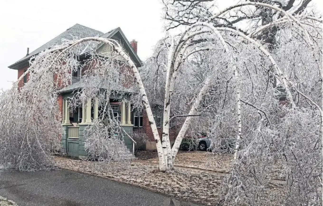 Icecovered trees after the storm in Peterborough on Sunday. The city has declared a state of emergency.