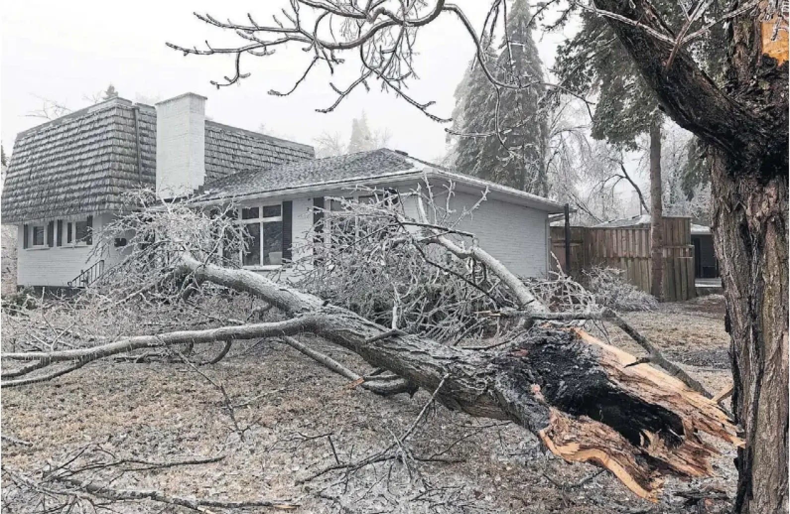 Branches and tree limbs lie across a lawn in Peterborough following last weekend's ice storm. By Thursday afternoon, nearly 30,000 homes in the county were still without power, down from more than 93,000 after the storm.