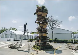 Canadian artist brings biodiversity Jenga to COP16 – My Climate Change ...