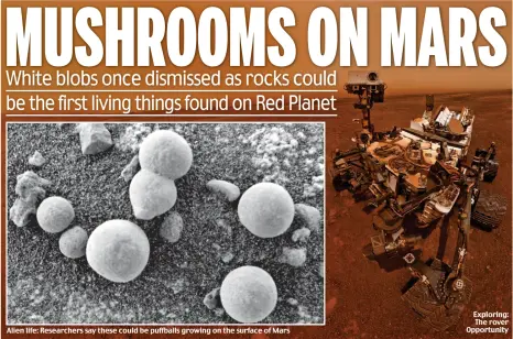 img?regionKey=OjmE0FNSEd6lwdBGK98fHg==&scale=66