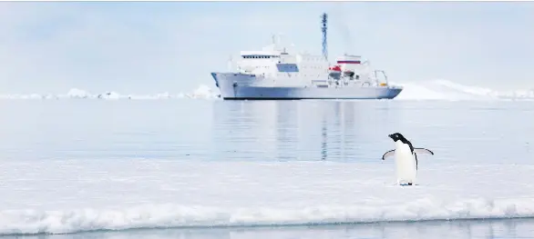 A pen­guin and a ship view each other in Antarc­tica. One Ocean Ex­pe­di­tions is con­duct­ing re­search on mi­crofi­bres be­ing col­lected on a re­search trip to Antarc­tica.