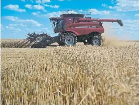 img?regionKey=VRAOx0XI%2BkpJQLjsxVDt2A%3D%3D