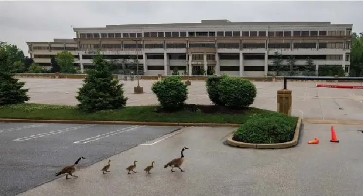 25 Oct 2026 DEVELOPER EYEING A THIRD MONTCO TOWN FOR DATA CENTER