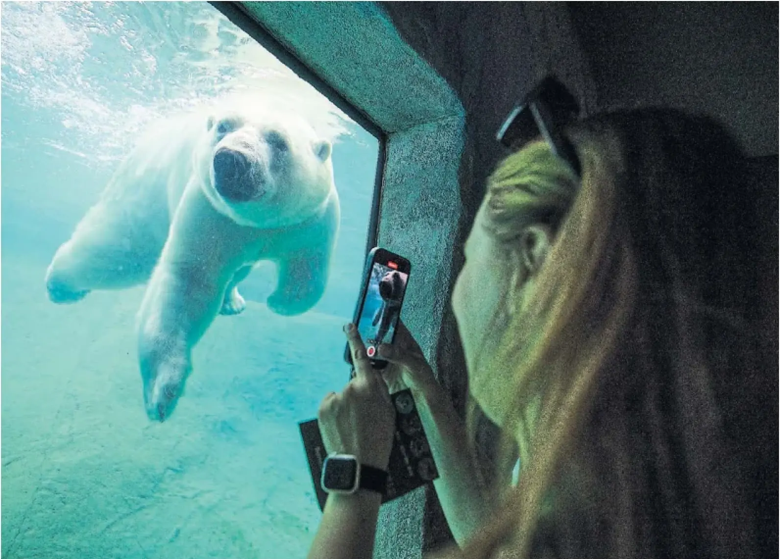A polar bear at the Toronto Zoo beats the heat with an afternoon swim. Friday, the first day of summer, is expected to reach a high of 27 C, but will feel closer to 34 C with humidity. That heat and humidity will build throughout the weekend.