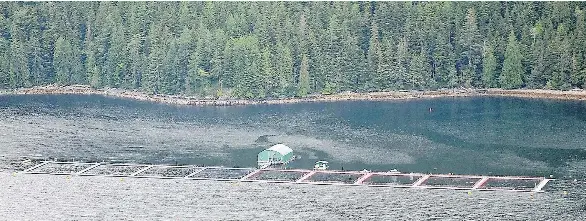 Ma­rine Har­vest, which op­er­ates this salmon farm off the north­east coast of Van­cou­ver Is­land, says it will seek new farm lo­ca­tions where there is “First Na­tions in­ter­est and con­sent.”