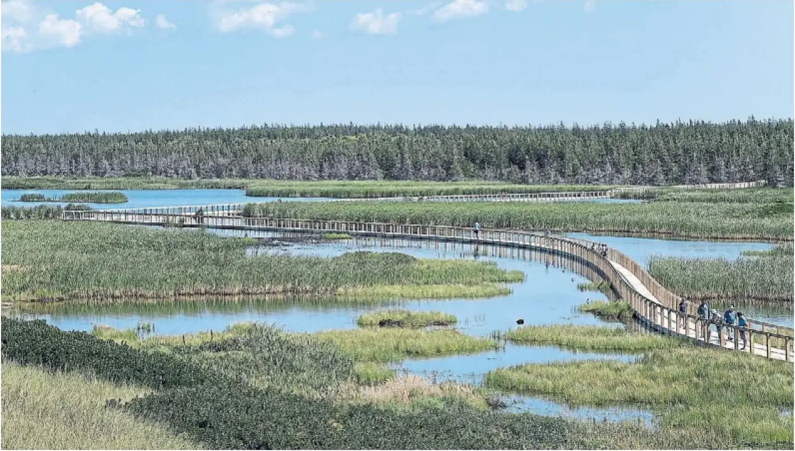 Mike Kennedy, chief financial officer for the municipality of Rossland, B.C., said if a dollar value is assigned to water purification “services” provided by natural areas like wetlands, it can be measured against the cost of having to build or expand water filtration facilities to achieve the same benefit.