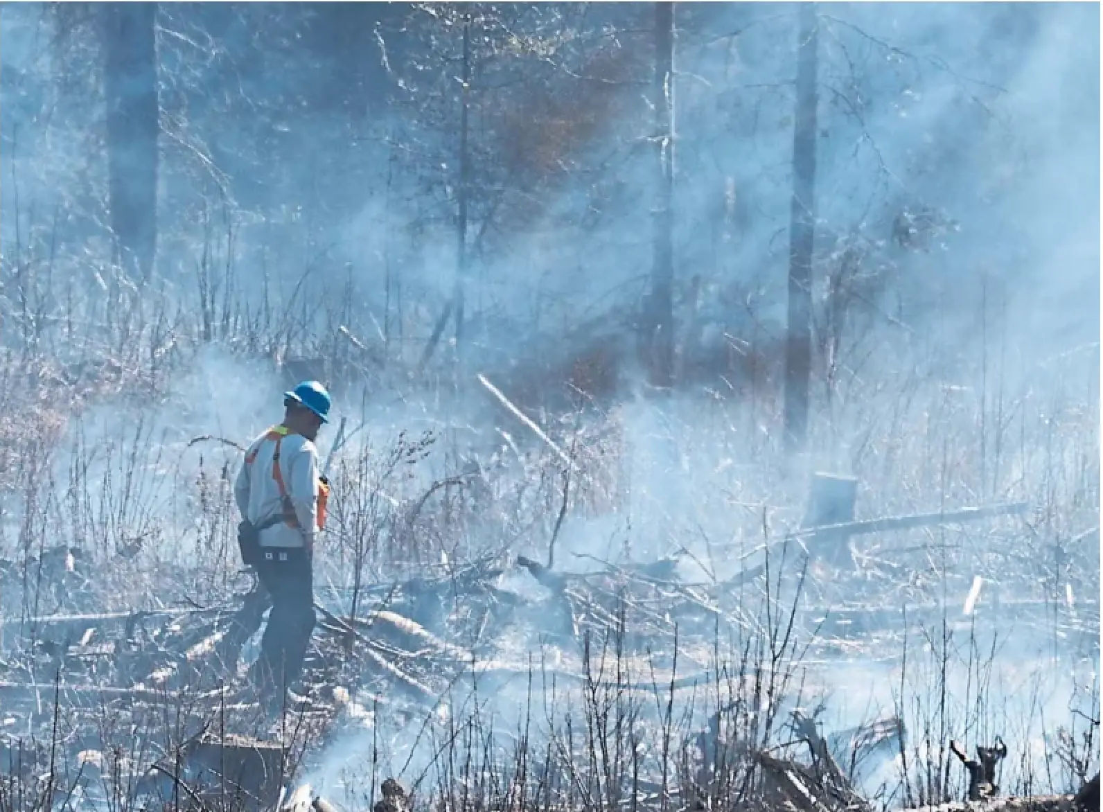 Firefighters carry out a prescribed burn in Northern Ontario. Union says members facing resource, staff shoratges.