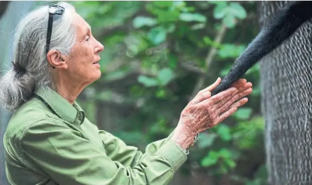 About 1,500 people attended a memorial service in honour of renowned researcher Jane Goodall on Saturday afternoon at the University of Toronto.