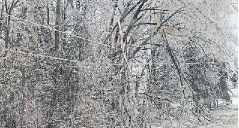Icecovered tree branches, like these in Orillia, hit power lines and caused outages for 115,000 people across Ontario.