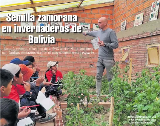 SEMILLA ZAMORANA EN INVERNADEROS DE BOLIVIA